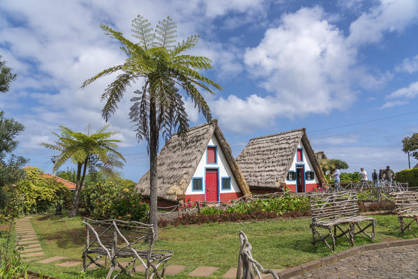 Traditional houses under a palm tree. Santana, Madeira region, Portugal.