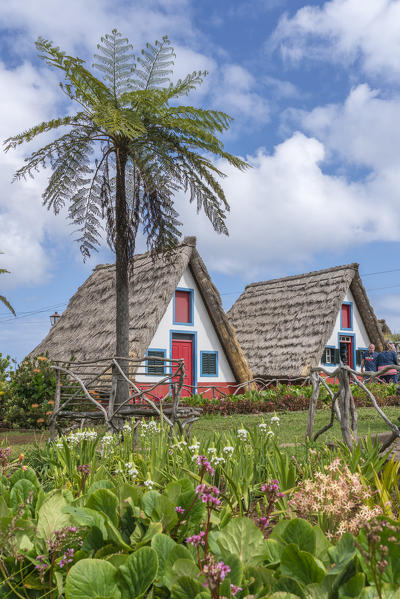 Traditional houses under a palm tree. Santana, Madeira region, Portugal.