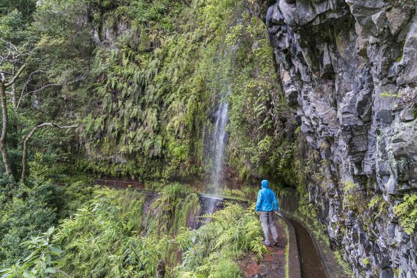 Man walking towards a waterfall in Levada do Rei walk. Sao Jorge, Santana municipality, Madeira region, Portugal.