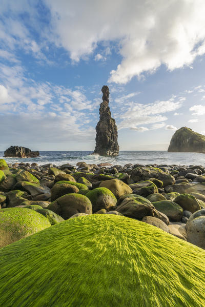 Rib and Janela islets in the morning light. Porto Moniz, Madeira region, Portugal.