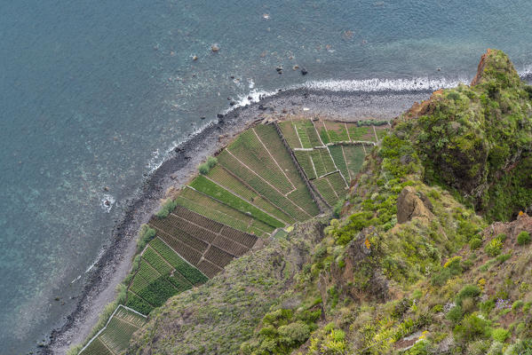 Plantations and Atlantic Ocean from Cabo Girao skywalk and viewpoint. Camara de Lobos, Madeira region, Portugal.