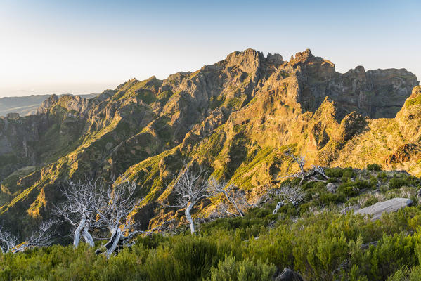 Dead trees and mountain peaks on the trail that links Pico Ruivo and Pico do Arieiro. Achada do Teixeira, Santana municipality, Madeira region, Portugal.