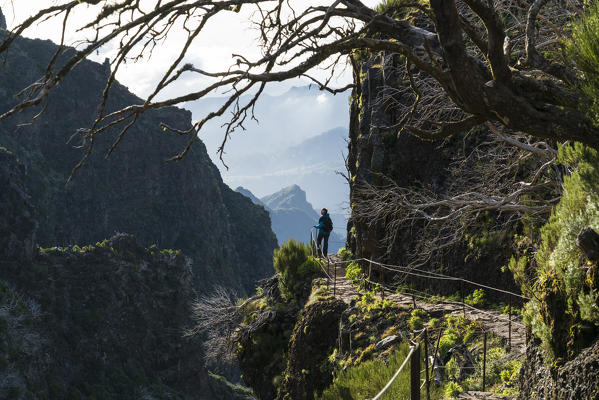 Woman hiking on the trail from Pico Ruivo to Pico do Areeiro. Achada do Teixeira, Santana municipality, Madeira region, Portugal.