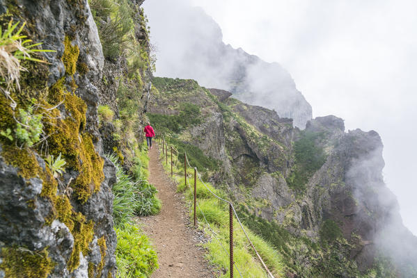 Woman walking on the trail from Pico Ruivo to Pico do Areeiro. Santana municipality, Madeira region, Portugal.