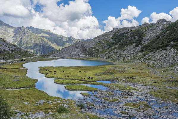 Lower Cornisello lake. Europe, Italy, Trentino Alto Adige, Trento province, Nambrone valley, Sant'Antonio di Mavignola.