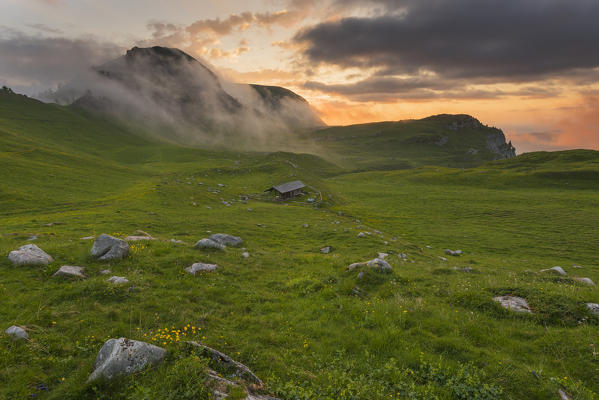 Europe, Italy, Trentino Alto Adige, Trento district, Nana Valley, natural Park Adamello Brenta.
Nana valley at sunrise