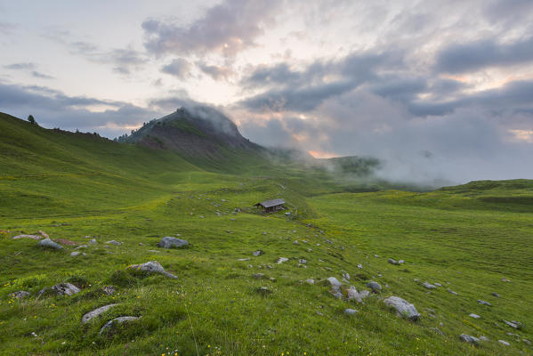 Europe, Italy, Trentino Alto Adige, Trento district, Nana Valley, natural Park Adamello Brenta.
Nana valley at sunrise