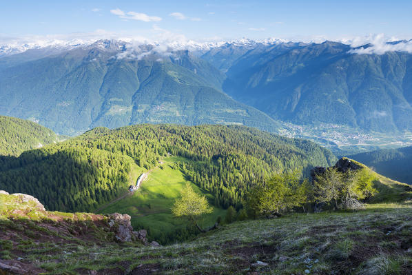 Europe, Italy, Trentino Alto Adige, Trento district, Non valley, Mountain Peller, natural Park Adamello Brenta
