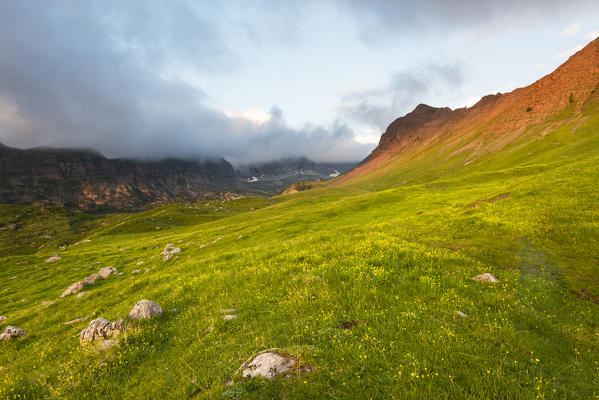 Europe, Italy, Trentino Alto Adige, Trento district, natural park Adamello Brenta.
Nana valley at sunrise