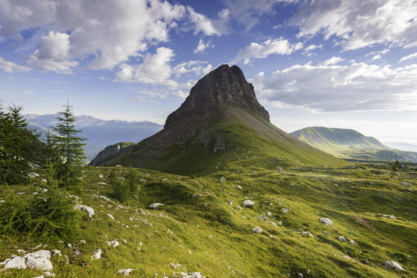 Europe, Italy, Trentino Alto Adige, Trento district, Nana Valley, natural Park Adamello Brenta.
Mountain Palon