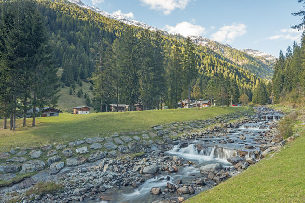 Rabbi valley and torrent Rabbies