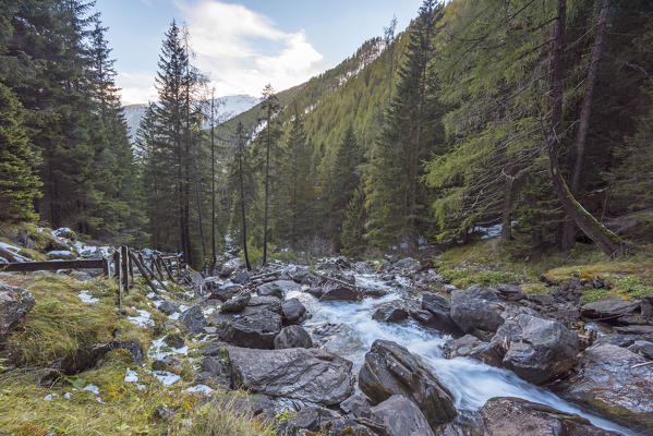 Torrent Rabbies, Rabbi valley
Europe, Italy, Trentino Alto Adige, Trento district, Rabbi valley, Stelvio nature park