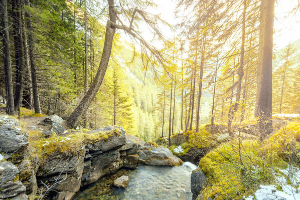 Saent waterfall
Europe, Italy, Trentino Alto Adige, Trento district, Rabbi valley, Stelvio nature park