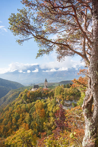 Church San Martino in autumn
Europe, Italy, Trentino Alto Adige, Trento district, Vervò city, Non valley