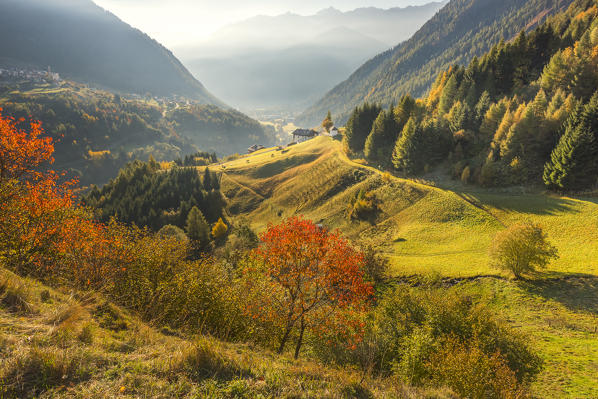 Pejo valley in autumn
Europe, Italy, Trentinto Alto Adige, Trento district, Pejo valley, Comasine city