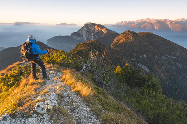 viewsof the Adige valley at sunrise from the horn of Tres
Europe, Italy, Trentino Alto Adige, Trento district, Non valley, Tres horn