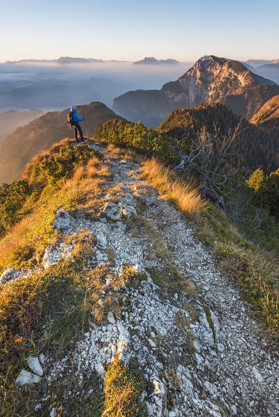 views of the Adige valley at sunrise from the horn of Tres
Europe, Italy, Trentino Alto Adige, Trento district, Non valley, Tres horn