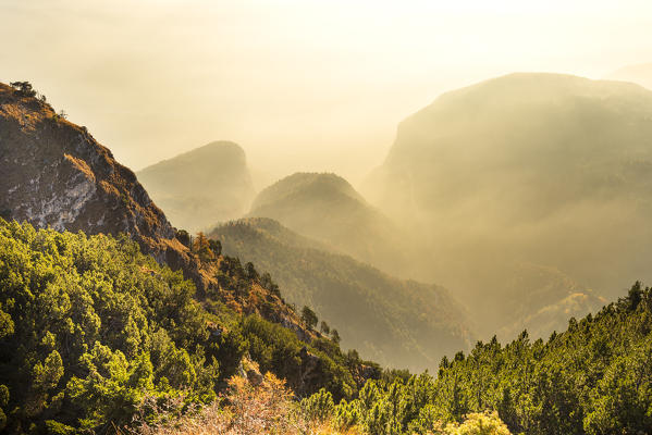 views of the Favogna at sunrise
Europe, Italy, Trentinto Alto Adige, Trento district, Non valley, Adige valley
