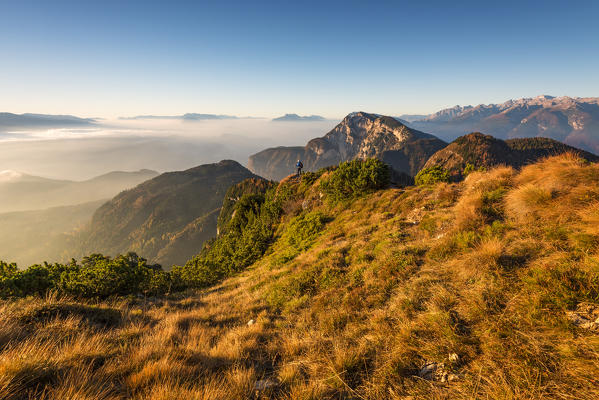 viewsof the Adige valley at sunrise from the horn of Tres
Europe, Italy, Trentino Alto Adige, Trento district, Non valley, Tres horn