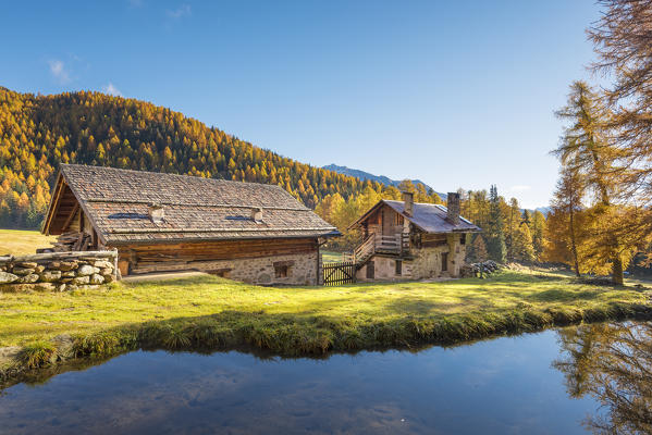 Pond near Lake Covel
Europe, Italy, Trentino region, Trento district, Pejo valley, 
Ortles mountain group, natural Park Stelvio