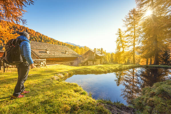Pond near Lake Covel at sunset
Europe, Italy, Trentino region, Trento district, Pejo valley, 
Ortles mountain group, natural Park Stelvio