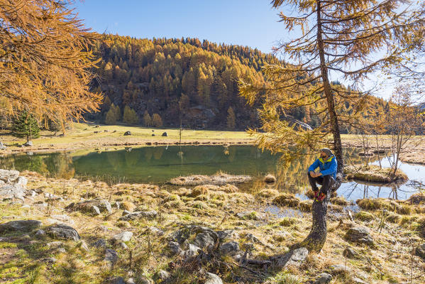 Covel lake in autumn
Europe, Italy, Trentino region, Trento district, Pejo valley, 
Ortles mountain group, natural Park Stelvio