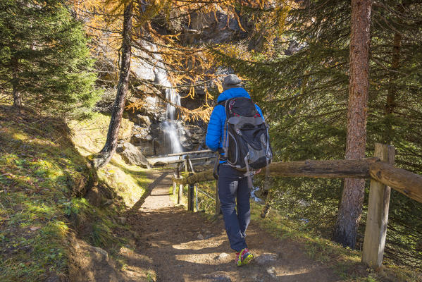 little waterfall Covel
Europe, Italy, Trentino region, Trento district, Pejo valley, Ortles mountain group, natural Park Stelvio