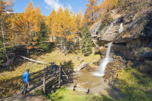 little waterfall Covel
Europe, Italy, Trentino region, Trento district, Pejo valley, Ortles mountain group, natural Park Stelvio