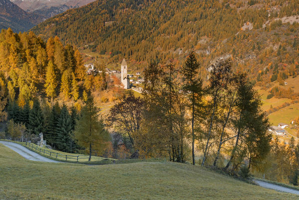 Church S. Lucia in autumn
Europe, Italy, Trentino region, Trento district, Pejo valley, Comasine city