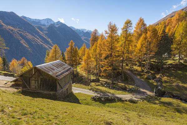 Mountain hut in autumn
Europe, Italy, Trentino region, Trento district, Pejo valley, Ortles mountain group