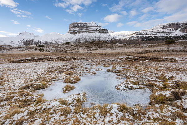 Turrion Brenta

Europe, Italy, Trentino Alto Adige region, Trento district, Non valley, Natural park Adamello Brenta