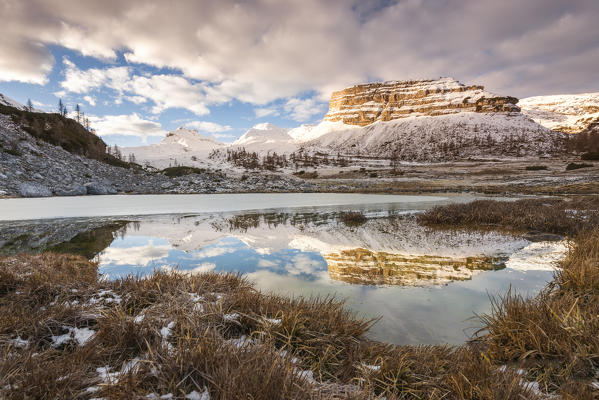 Turrion Brenta

Europe, Italy, Trentino Alto Adige region, Trento district, Non valley, Natural park Adamello Brenta