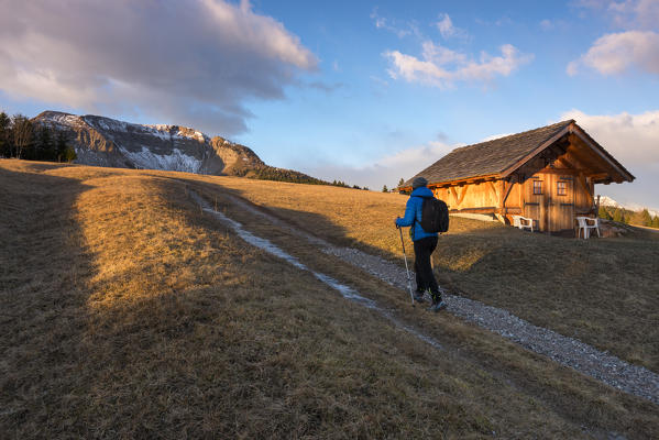 Monte Peller at sunset, Europe, Italy, Natural Park Adamello Brenta, Peller mountain, Trentino Alto Adige, Trento district, Non valley