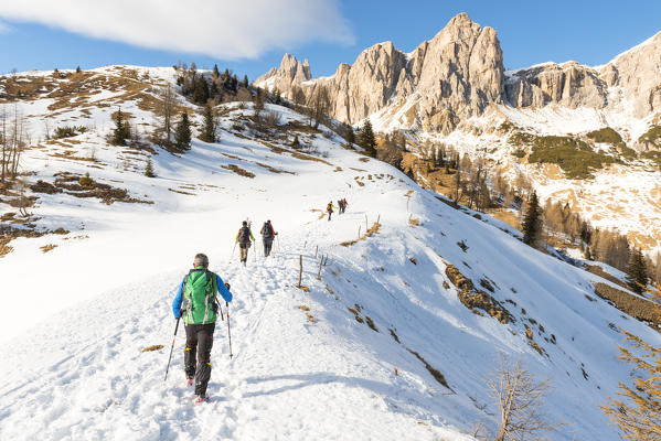 hikers towards Prendèra alp
Europe, Italy, Veneto region, Belluno province, Borca Cadore district