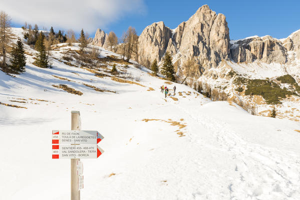 hikers on the trail
Europe, Italy, Veneto region, Belluno province, Borca Cadore district