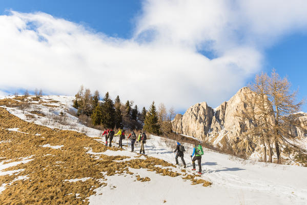trekking towards Prendèra alp
Europe, Italy, Veneto region, Belluno province, Borca Cadore district