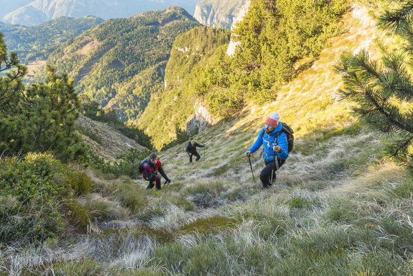 Tourists on the path to Tres horn
Europe, Italy, Trentino Alto Adige, Trento district, Non valley, Tres city