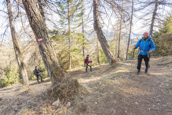 Tourist along the mountain path that leads to the Horn of Tres
Europe, Italy, Trentino Alto Adige, Trento district, Non valley, Tres city