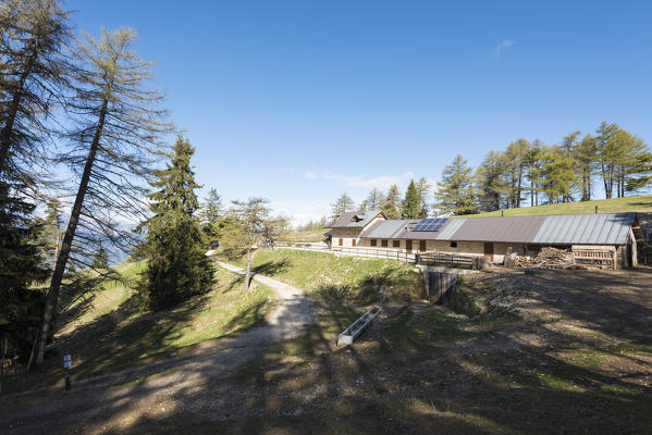 Rodeza alm
Europe, Italy, Trentino Alto Adige, Non valley, Trento province, Predaia district, Tres city