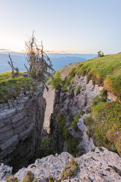 Photographing sunrise on Mount Peller
Europe, Italy, Trentino Alto Adige, Non valley, Trento district, Mount Peller