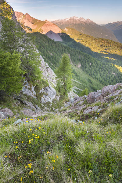 View of the Nana valley east of Peller
Europe, Italy, Trentino Alto Adige, Non valley, Trento district, Non valley, Natural Park Adamello Brenta