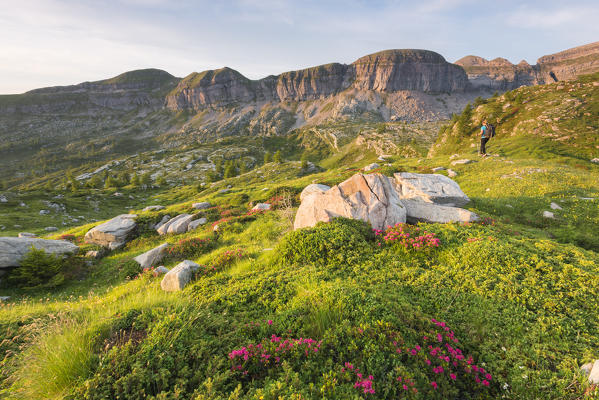 Nana Valley and its flowered garden
Europe, Italy, Trentino Alto Adige, Non Valley, Nana vallay, Trento district, Cles municipality