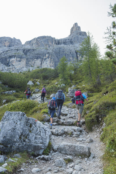 walking to Tuckett refuge
Europe, Italy, Trentino, Vallesinella, Madonna di Campiglio, Tuckett refuge