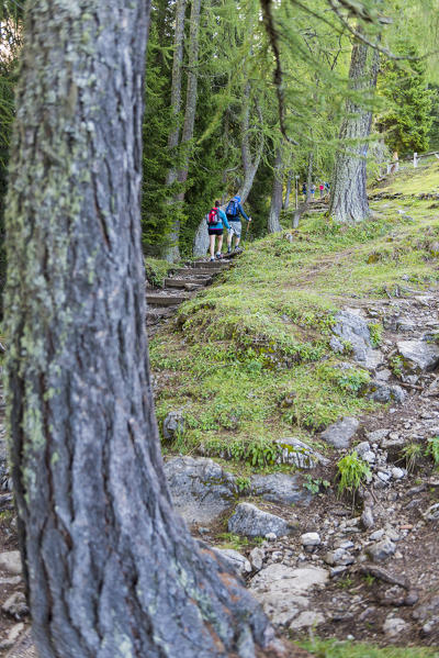 walking to Casinei refuge
Europe, Italy, Trentino, Vallesinella, Madonna di Campiglio, Casinei refuge