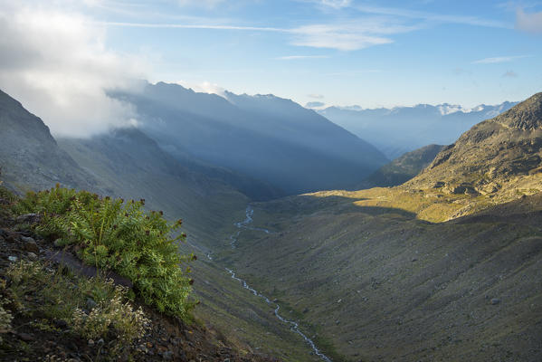 Panoramic view from the Larcher refuge
Europe, Italy, Trentino region, Venezia valley, Pejo, Sun valley, national park Stelvio