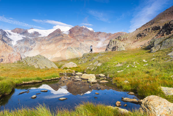 Alpine lake from National park Stelvio with walker
Europe, Italy, Trentino region, Venezia valley, Sun valley, Pejo, National park Stelvio