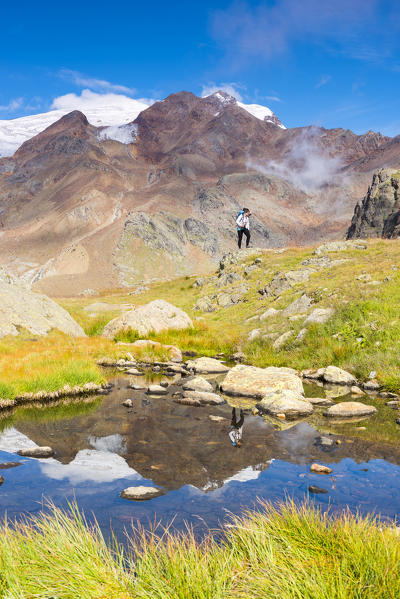 Alpine lake from National park Stelvio with walker
Europe, Italy, Trentino region, Venezia valley, Sun valley, Pejo, National park Stelvio