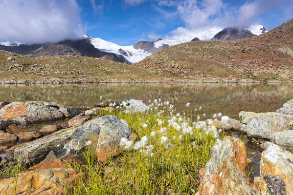Marmotte lake from national park Stelvio
Europe, Italy, Trentino region, Sun valley, Pejo, national park Stelvio