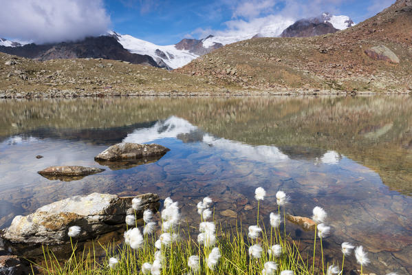 Marmotte lake from national park Stelvio
Europe, Italy, Trentino region, Sun valley, Pejo, national park Stelvio