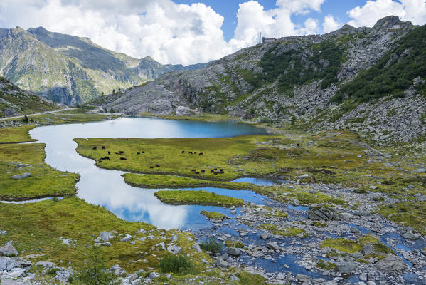 Lake Cornisello lower 
Europe, Italy, Trentino region, Nambrone valley, Rendena valley, Carisolo, Sant'Antonio di Mavignola, Madonna di Campiglio